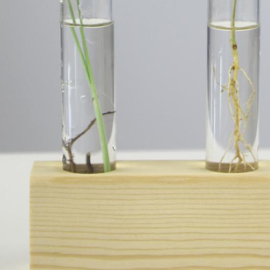 Decorative Hydroponic Tube Test Tube Vase Transparent Glass Universal Vases for Home