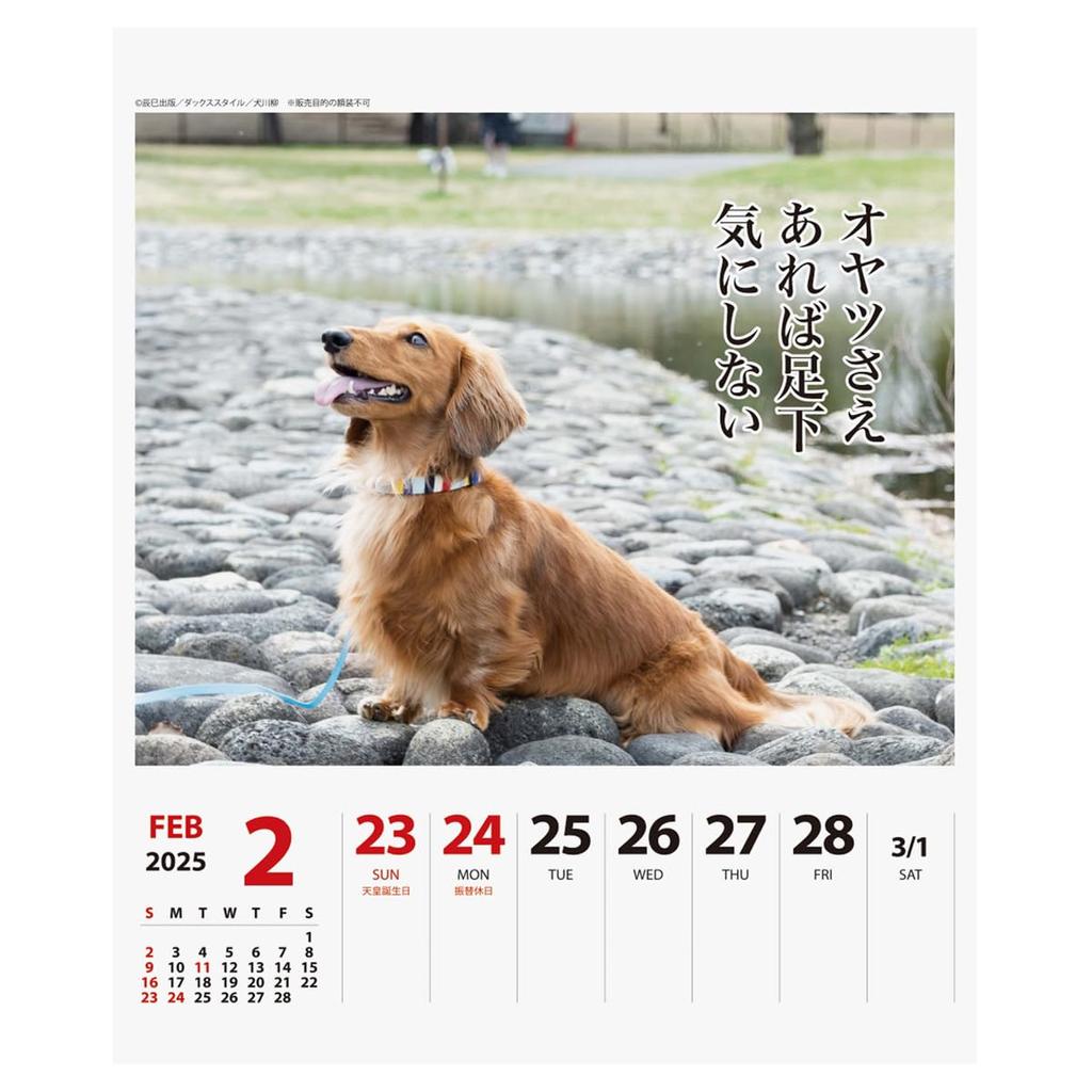 2025 Утки Сэнрю (Еженедельно) Календарь №024