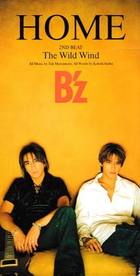 CD BZ  ДОМ  Дикий Ветер 8см CD BMDR2017 VERMILLION 1998 Япония Японский PopRock Б/у