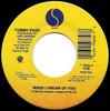 7inch Record TOMMY PAGE - When I Dream Of You 719839 Sire 1990 US Pop Used