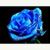 Cross Stitch Kit DIY Diamond Embroidery Blue Rose Diamond Painting Mosaic Home Decor