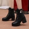 Winter New Boots Women's Round Head Thick Sole Waterproof Platform High Heel Lacing and Velvet Mid Sleeve Women's Boots