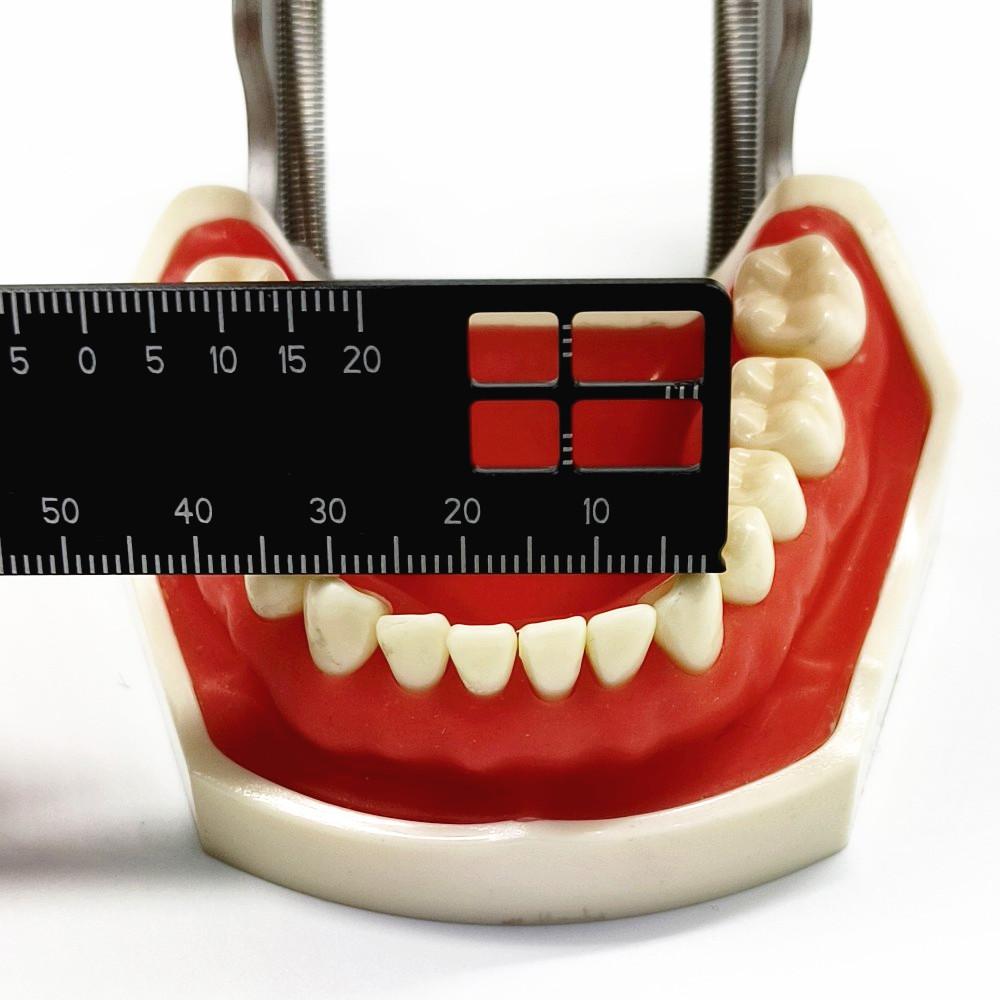 Стоматологическая прецизионная измерительная линейка, измерительная шкала, эндодонтические инструменты, стоматология для фотографии и стоматологии