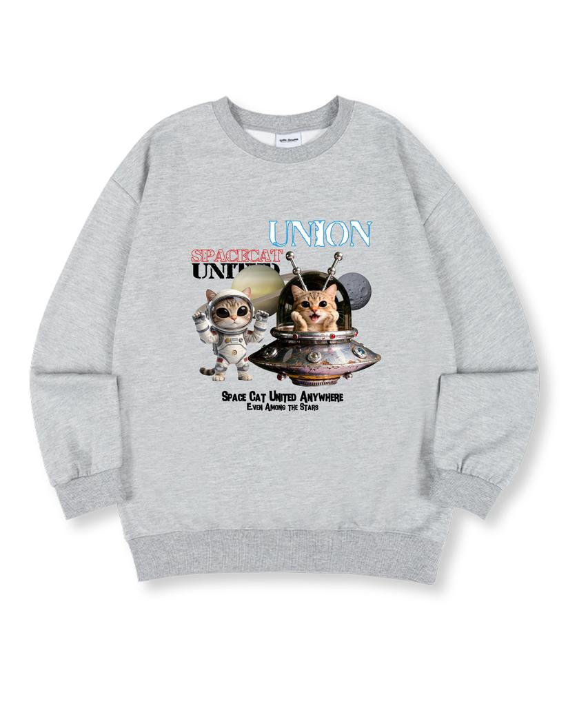 UNION GARMENTS Космическая кошка Премиум Двусторонняя Оверсайз Толстовка 4 Цвета