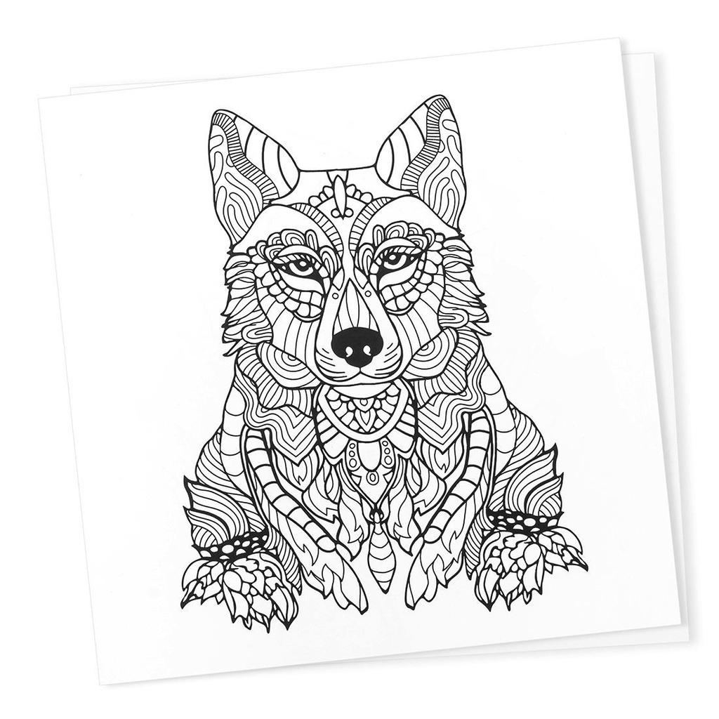 Книжка-раскраска. Книжка-раскраска для взрослых. Книжка-раскраска для детей.