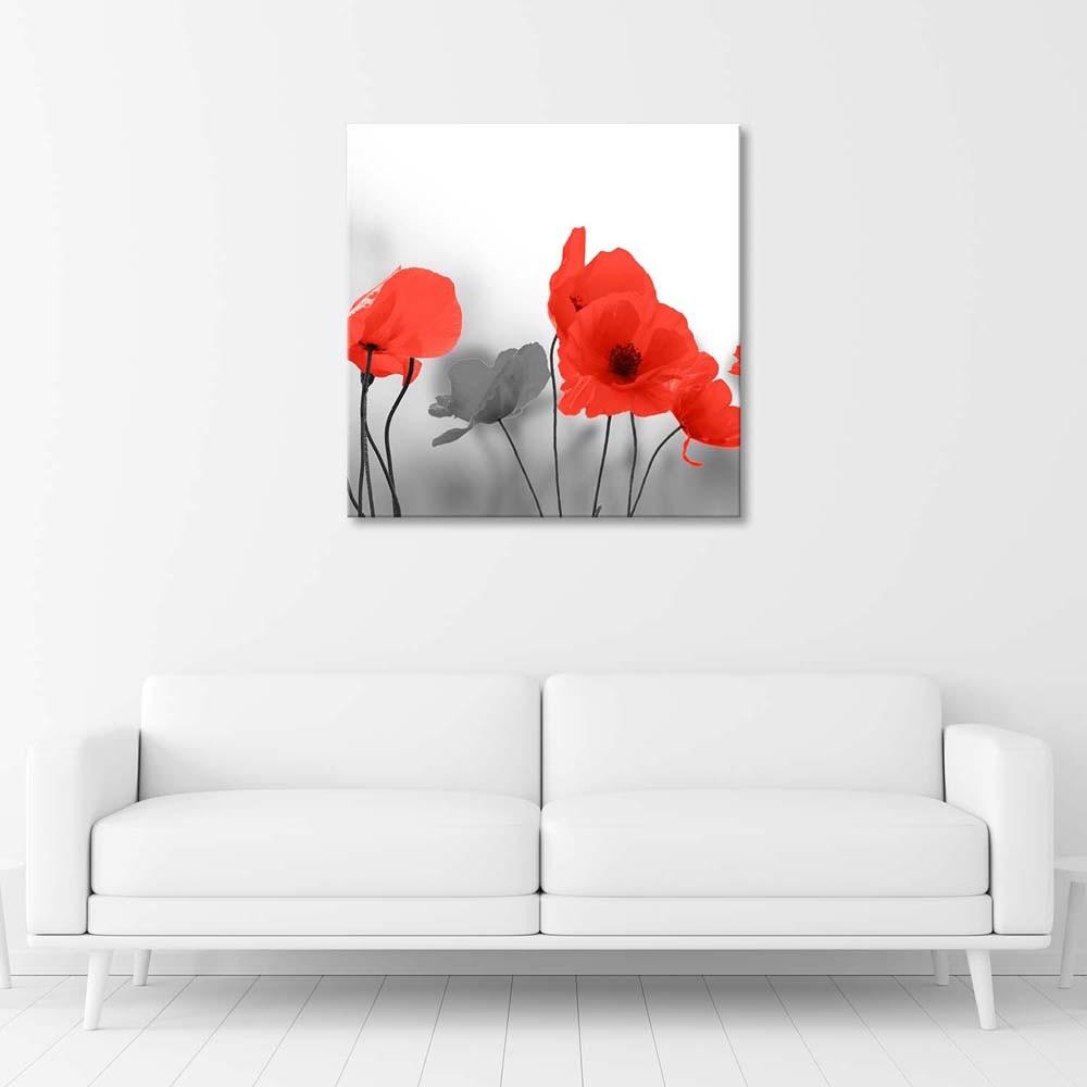 Canvas print, Red poppies flowers plants