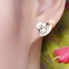 Hypoallergenic Silver Stud Earrings for Women - Korean Fashion Jewelry Gift for Valentine's Day or Qixi Festival.
