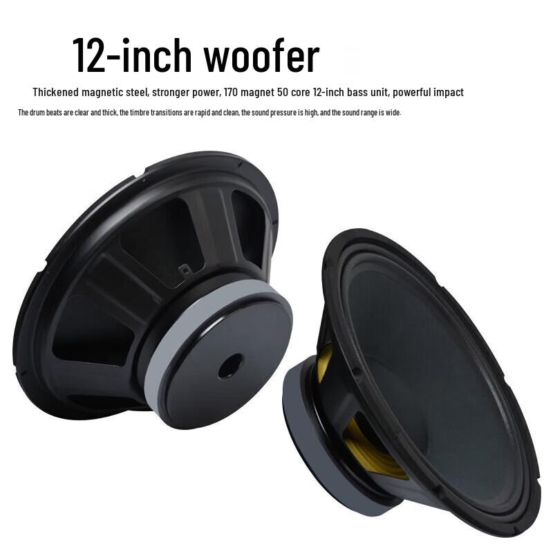SHILE BX-112 12-дюймовый Профессиональный Сценический и Конференц-Колонки (Китайская версия)