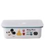 Эмалированный ланч-бокс Fuji, Disney Микки и Минни, 740 мл, Белый, DY-LBM