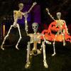Halloween Skeleton Decoration Realistic Human Bone Structure Model Plastic Jointed Skeleton Statue for Yard Garden Haunted House