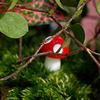 20Pcs Mini Artificial Mushroom Miniatures Fairy Garden Ornament Resin Crafts