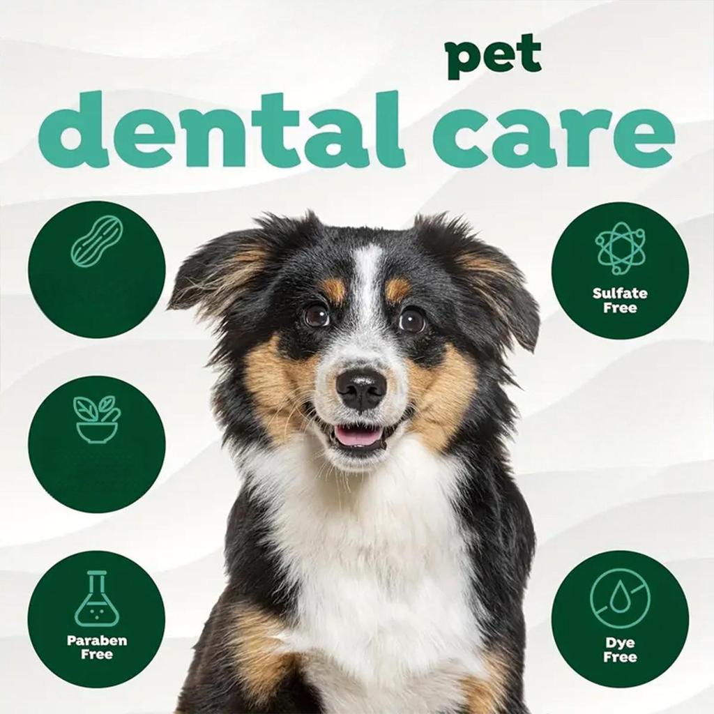 Pet Tooth Powder Has No Harmful Additives, Gently Cleans Without Harming Pets, and Is Suitable for Long-term Daily Use