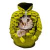 Men Women Pullover Hoodie Sweatshirt Cat Wall Brick Graphic 3D Print Holiday Casual Streetwear Hooded Clothes With Pocket Unisex
