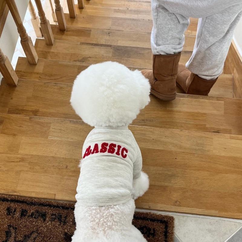 Letter Hoodie Pet Clothing Dogs Fashion Cotton Dog Clothes Costume Small French Bulldog Print Winter Fashion Gary Boy Mascotas