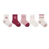 2023  5 Pairs Set Breathable Organic Cotton Crew Socks Cute Design for Infant Baby Kids Boys and Girls