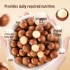 Mugoren Macadamia Nuts Snack