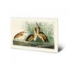 John James Audubon Least Bittern Wooden Small Plate