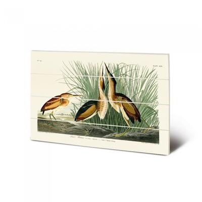 Маленькая деревянная табличка John James Audubon Least Bittern
