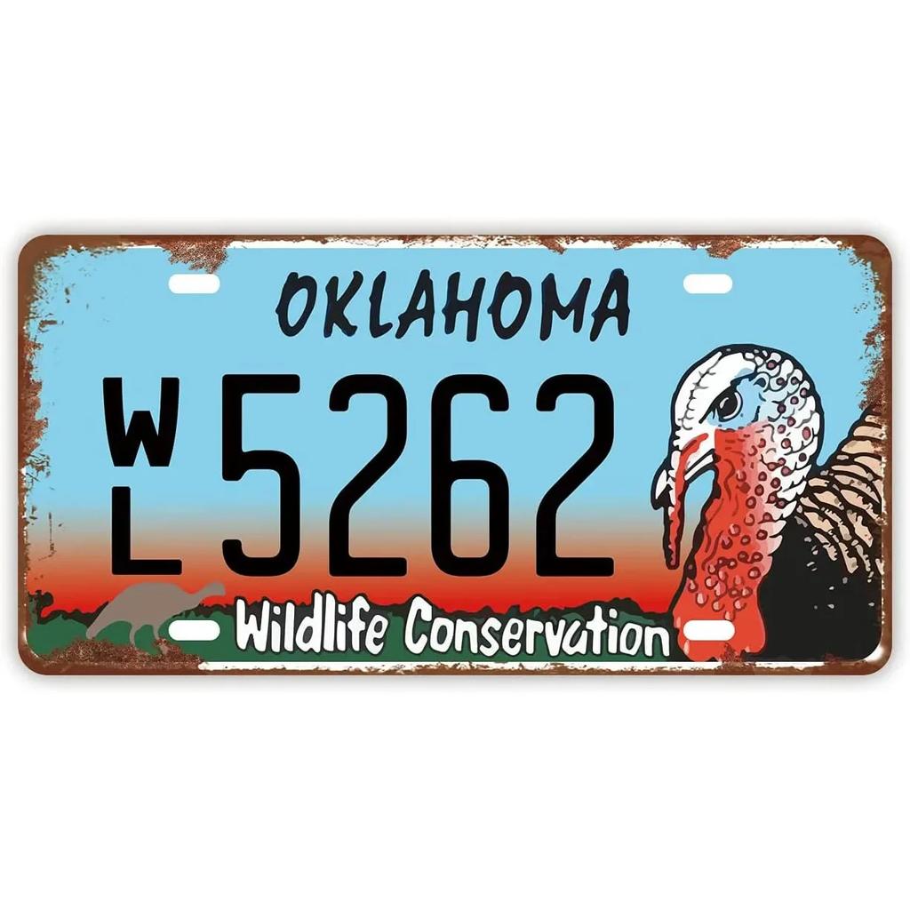 Винтажный автомобильный металлический номерной знак США, металлический номерной знак старого автомобиля, новинка, настенное украшение, автомобильные знаки, передняя крышка, гараж, кафе-бар