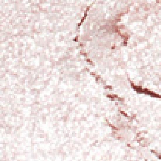 Naming Fluffy Baked Highlighter 5 Colors (+ Brush Free)