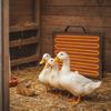 Automatic Poultry Heating Panel Quiet Brooder Heating Plate Warm Heating Pad  Winter