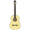 ARIA Aria flamenco guitar With soft case A-100F