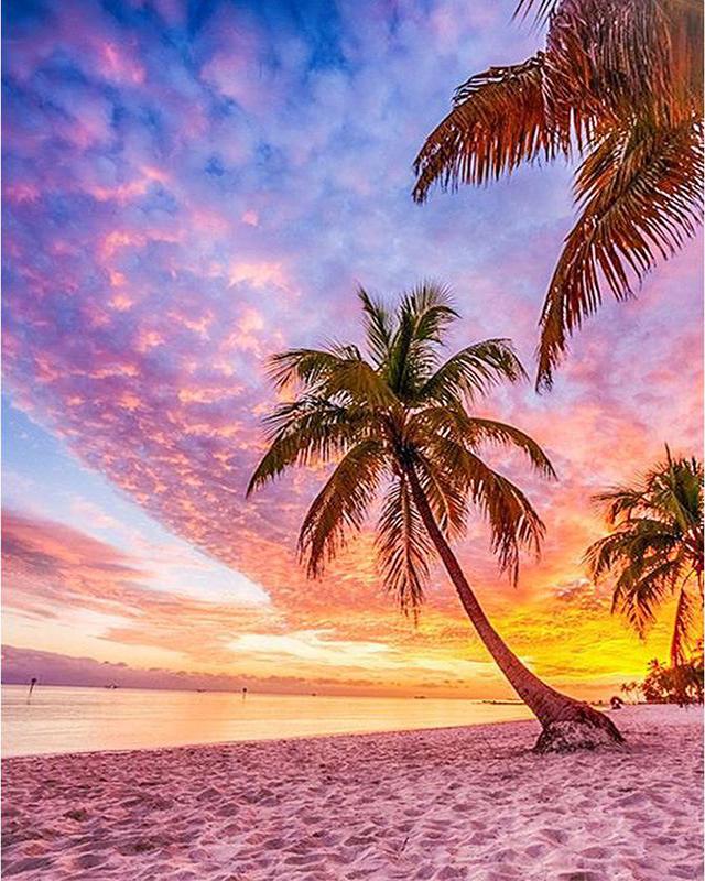 5D DIY Алмазная картина Единороги и женщины Пейзаж Луна Полная площадь/круглая Алмазная вышивка Собака Животные Стразы Мозаика Декор для дома