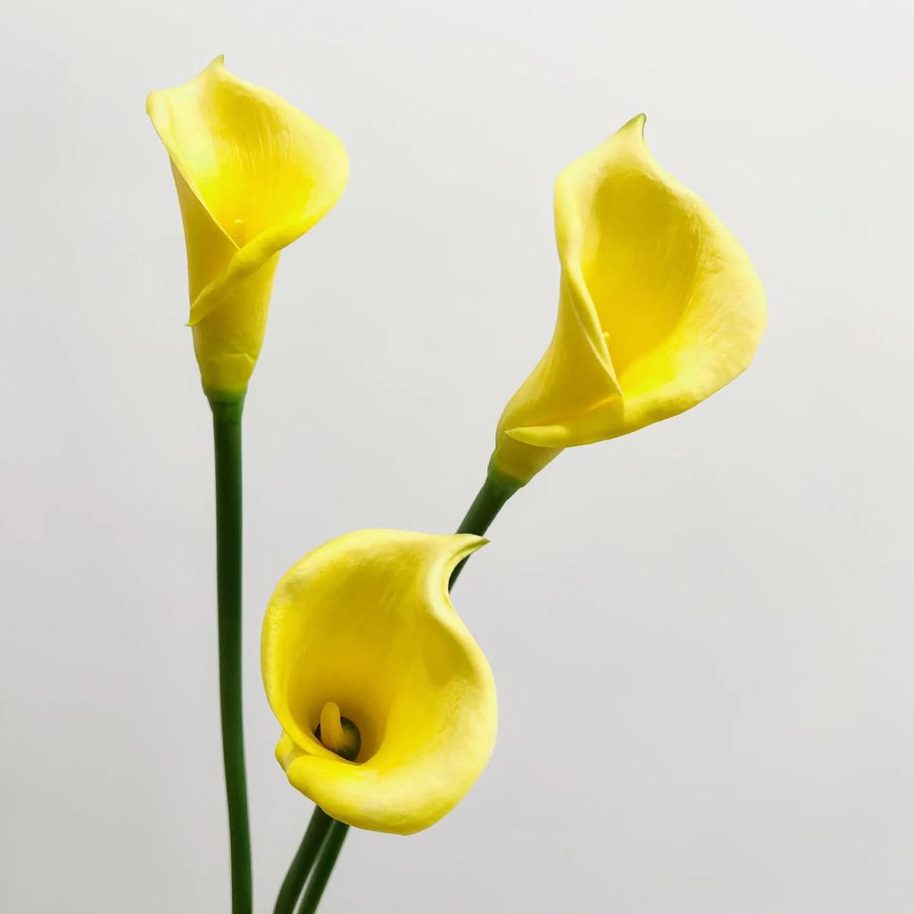 5Pcs White Calla Lily Pu Artificial Flowers Home Living Room Decoration Realistic Hoonlily Fake Flowers Wedding Floral Bouquet