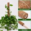 1pc Plant Vine Traction Climbing Post Natural Coconut Palm Rod Can Be Freely Combined with Splicing Garden Pillar
