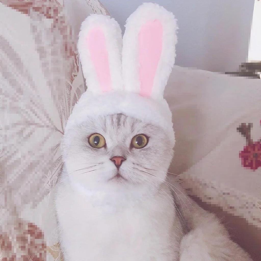 Cat Accessories Hood Cute Rabbit Costume Hat Cat Headdress Show Props Funny Pet Hat Rabbit Ears