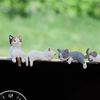 Car Decoration Creative Sleeping Cat Doll Auto Ornaments Toys Cat Micro Landscape Model Cute Car Interior Decoration Gifts