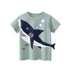 2025 Summer Boys' Short-Sleeve T-Shirt - Fashion Brand Kidswear Collection