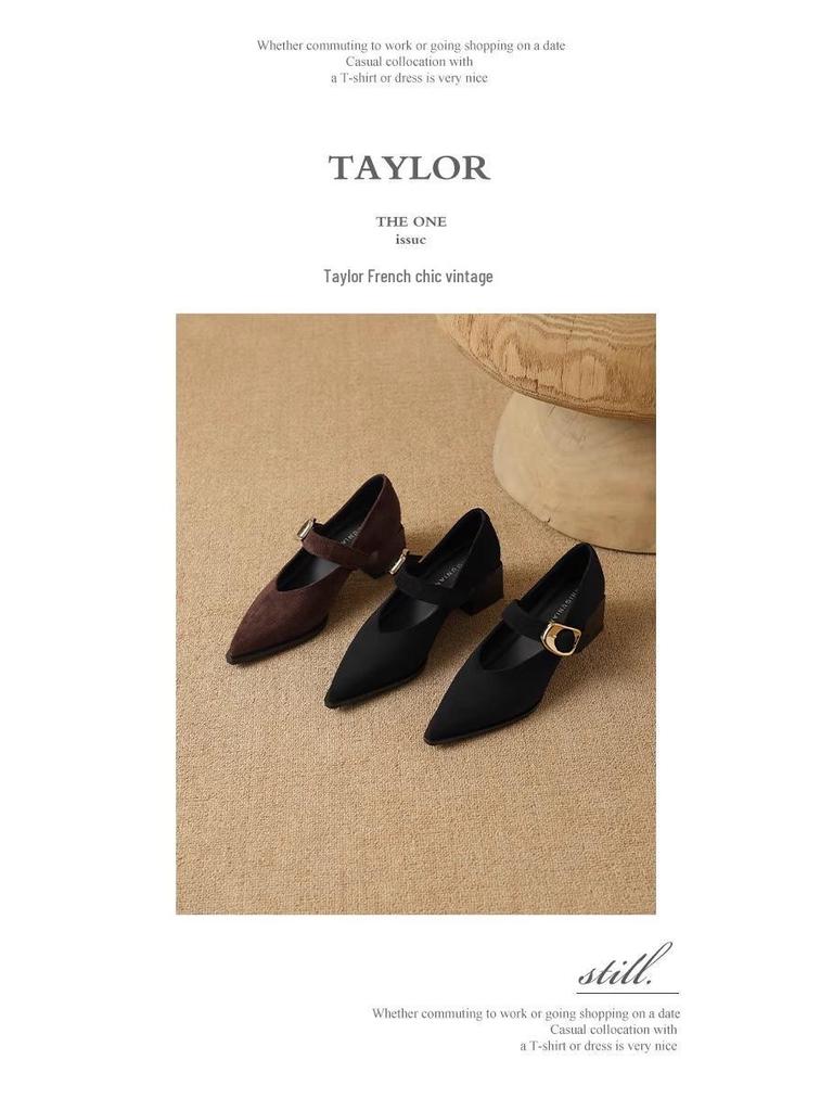 Французские ретро туфли Мэри Джейн на высоком каблуке - Изысканный стиль Весна/Осень 2025 для женщин с острым носком, идеально подходят к юбкам.