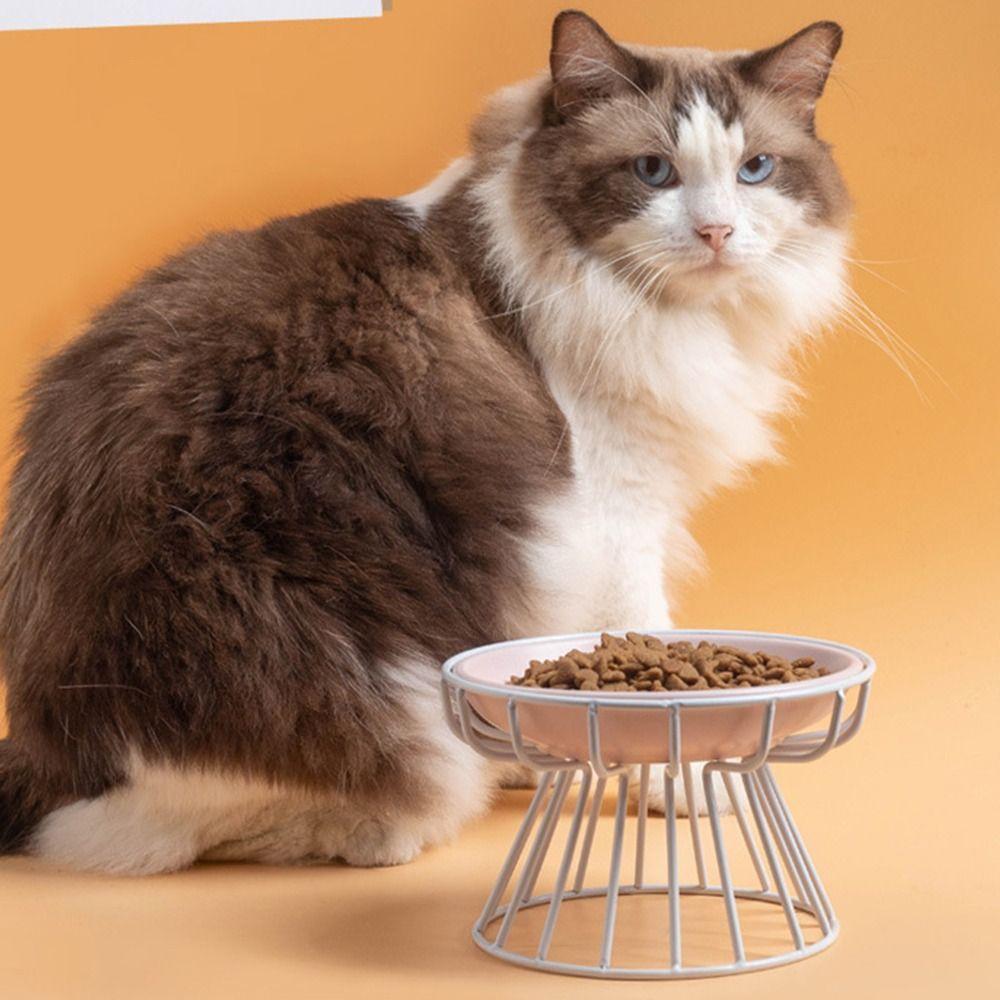 Миска для лакомств для питомцев Миска для питомцев Керамическая приподнятая поилка для собак и кошек Моющаяся миска для кормления питомцев Собака Кошка