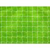 Precision Pro Braided Football Net (Pack of 2)