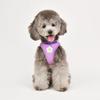 Flower Front Anti-Slip Harness M (OAVA-HB6249)