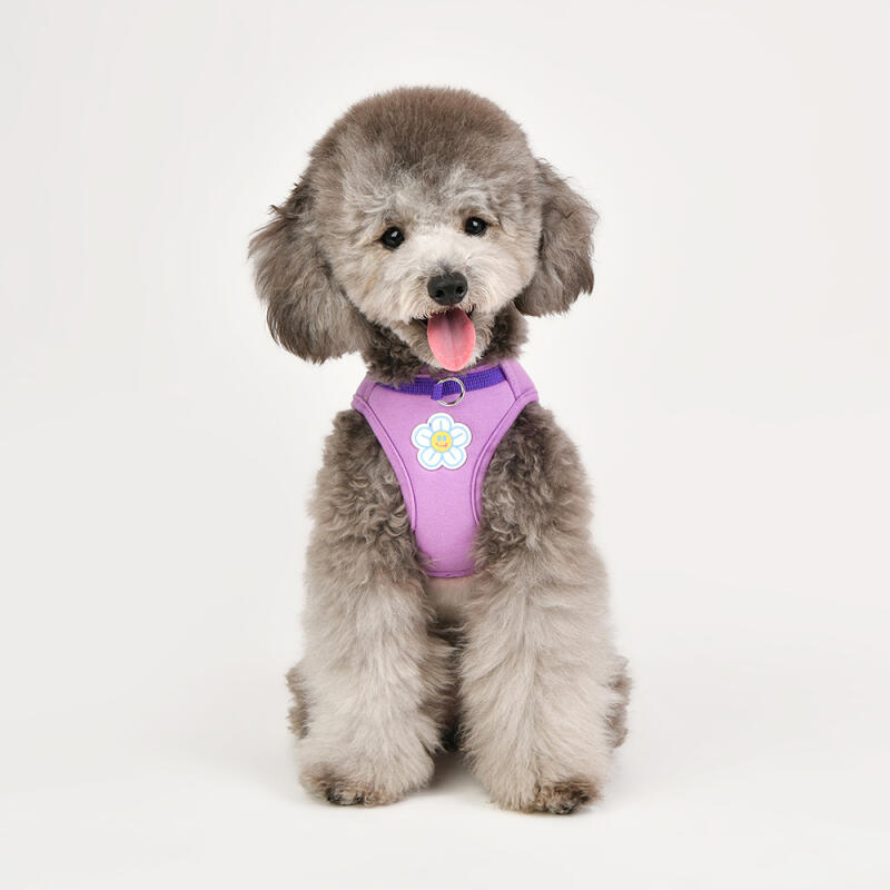 Flower Front Anti-Slip Harness M (OAVA-HB6249)