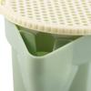 Hydroponic Microgreens Growing Kit Easy To Grow Soilless Planting Box  Cat Snack