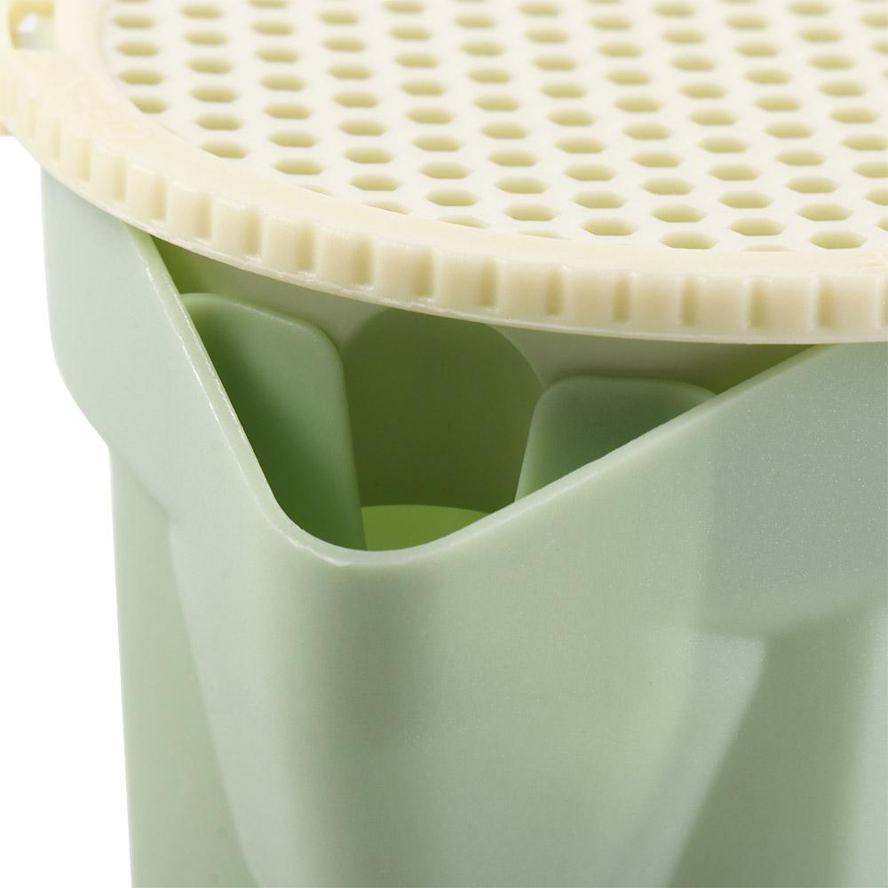 Hydroponic Microgreens Growing Kit Easy To Grow Soilless Planting Box  Cat Snack