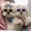 Lovely Idol Plush Doll Heart Glasses Soft Cotton Doll Eyeglasses 20CM Doll Sunglasses  Girls