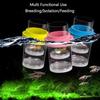 Shrimp Guppy Floating Fish Breeding Isolation Box Fish Hatchery Incubator Breeder Box Fish Tank