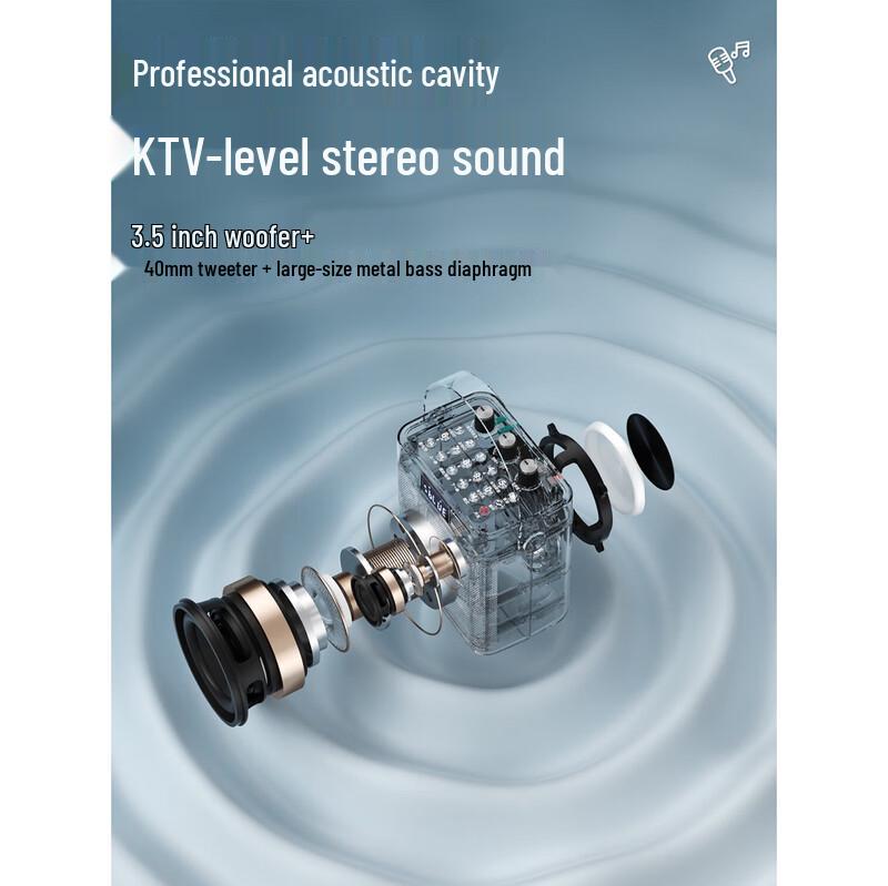 Newman K519 Portable Bluetooth K-Song Speaker