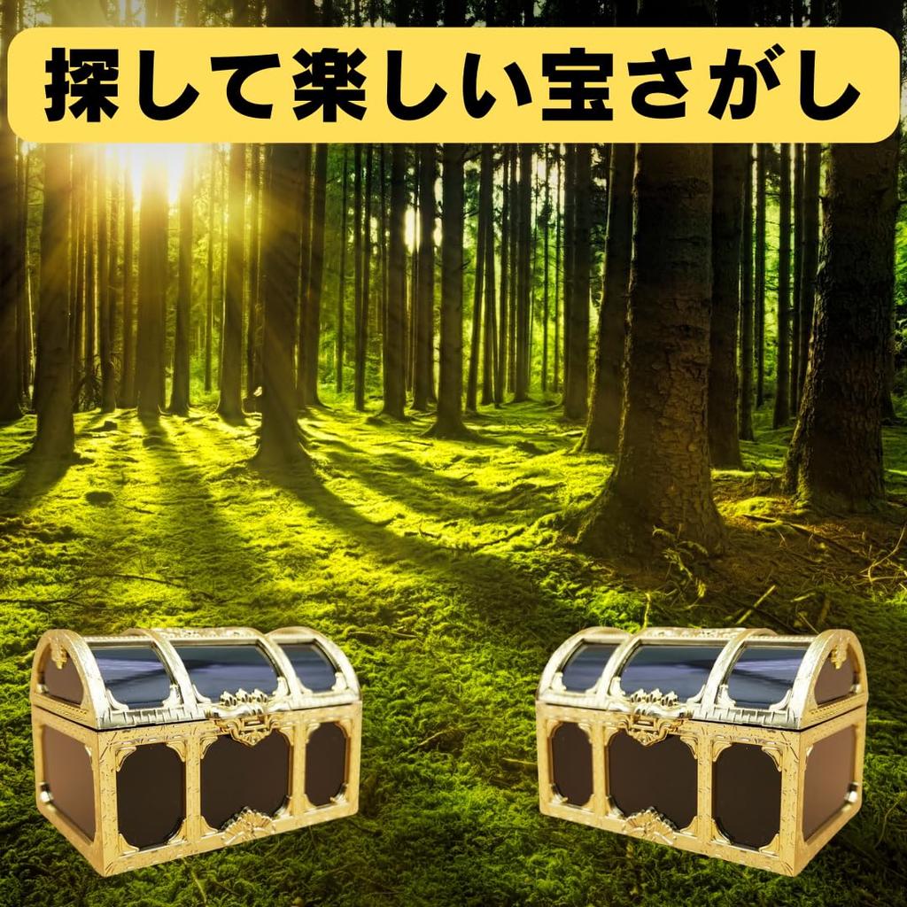 EINEY Treasure Antique Pirate Treasure Treasure Gold Accessory Jewelry Set of Photography Accessories Box, Box, Box, Coin, Coin, Case,