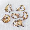 6Pcs/Lot Cute Striped Cats Embroidered Patch Cartoon Animals Applique Fabric Clothing Iron On Patch