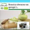 Подарочный набор - Органический - Репа - Super Melt - 20 семян - С подарочной коробкой, карточкой, этикеткой и субстратом для горшков - Brassica oleracea