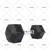 Tiger King Hex Rubber-Coated Dumbbell