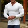 Autumn Winter Men's Tops Round Neck Solid Color Cotton Ribbed Long Sleeve T-Shirt Men's Casual Base Shirt