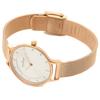 Anita Watch 30mm Mesh Belt Quartz SKAGEN Rose Gold [Skagen] Women's (1)SKW2151 [Item]
