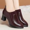 New Winter Women Boots High Heel Shoes Anti-slip Velvet Comfort Ankle Autumn Versatile Fashion Soft Leather Boots