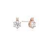 [Rosemont] Silver Earrings Rc0217